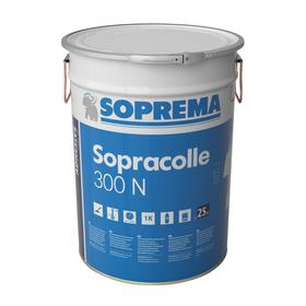 <b>Sopracolle 300 N</b>