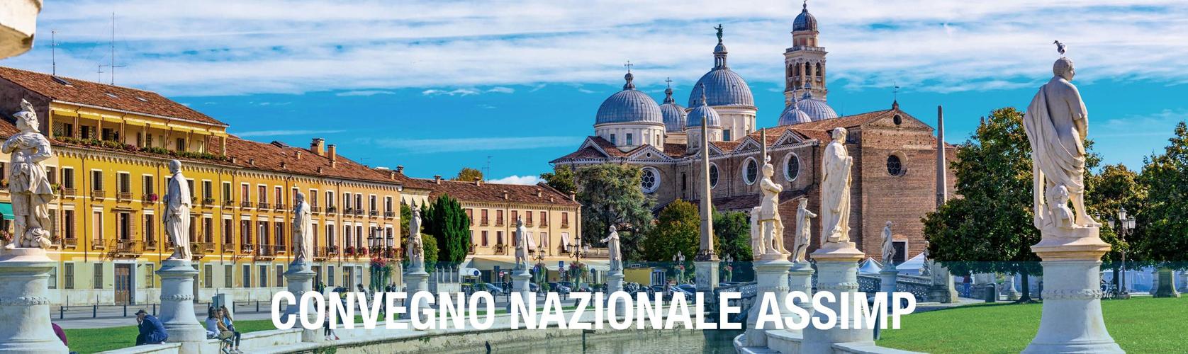 Convegno Nazionale Assimp