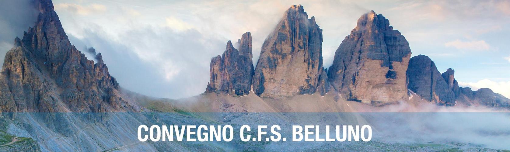 Soprema al Convegno presso il C.F.S. di Belluno